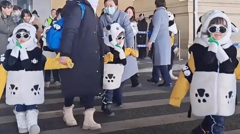 尔滨这回真的来熊猫了