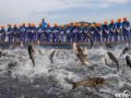 杭州千岛湖上演“巨网捕鱼”盛景