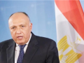 埃及支持南非起诉以色列 呼吁加沙停火