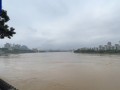 水位达80.65米 广西柳江河洪峰过境市区河段