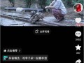 李子柒赛道证明内容为王 国风归来唤记忆