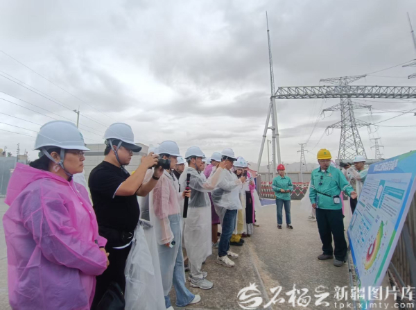 &ldquo;变电站电磁辐射会致癌&rdquo;不实